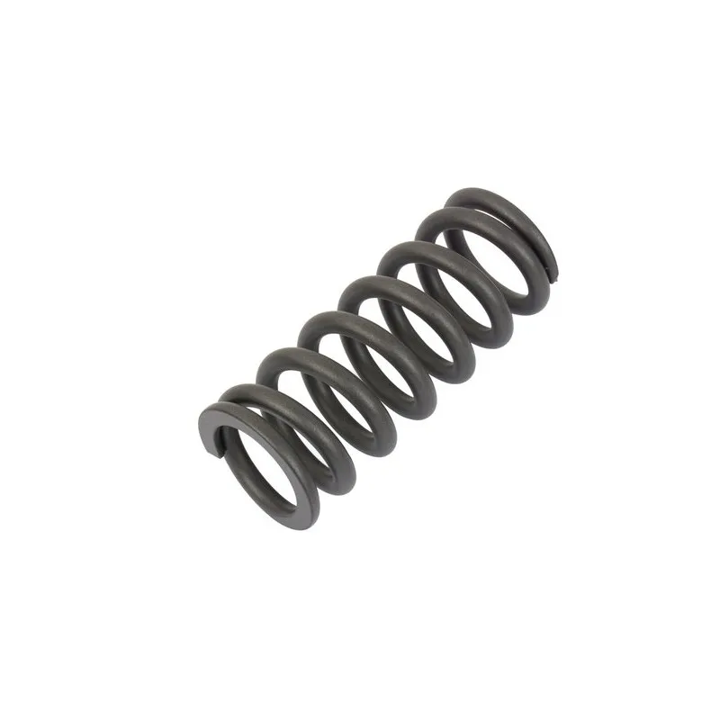 Molla Rock Shox Spring per Vivid / Kage RC 550 lbs