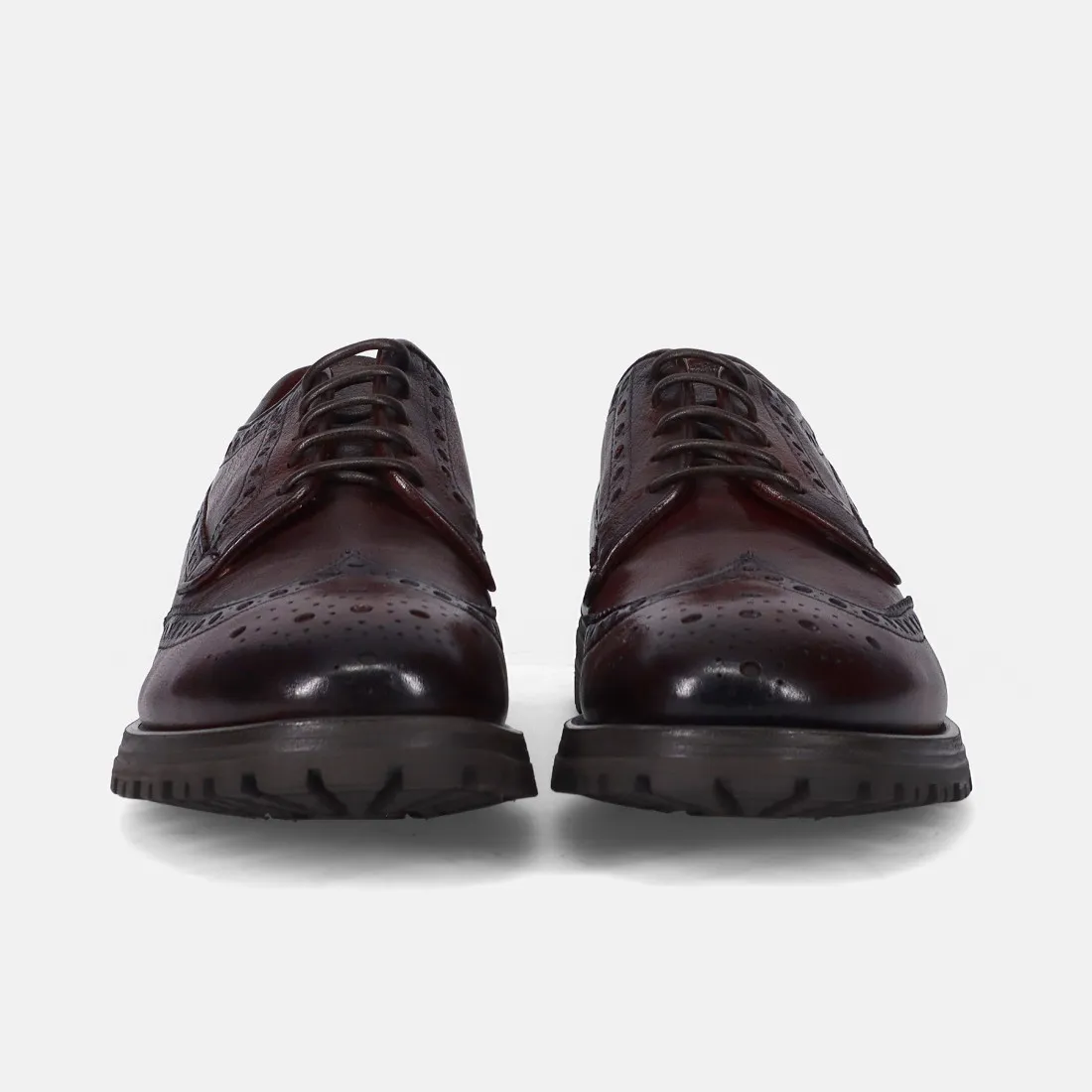 Scarpa derby brogue Sturlini in pelle tamponata bordeaux