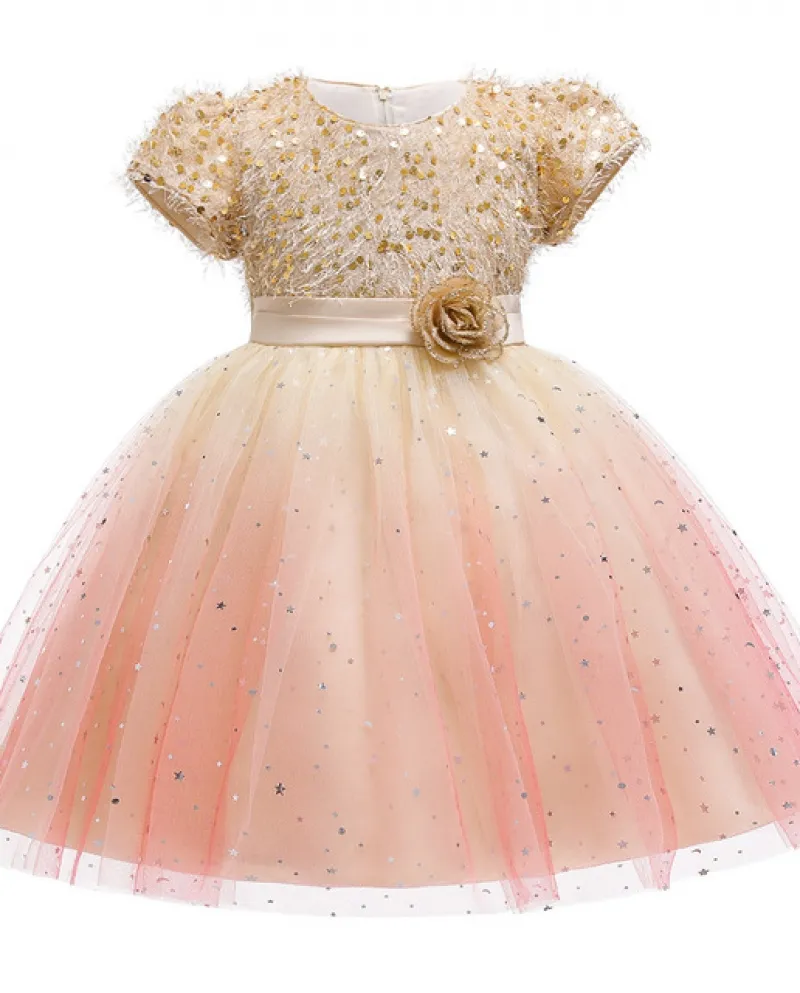 Vestito dalla neonata Vestito dai bambini Vestito dalla principessa del tutu della garza della rete del fiore Se